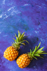  ripe pineapple on a blue background