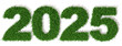2025 anno 3d, prato erba verde, duemilaventicinque, Buon Anno Felice