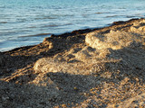 algae at sea