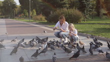 Mother And Baby Feeding Pigeons