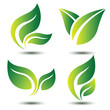leaf symbol