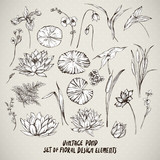 Set of vintage pond water flowers vector elements