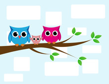 Cute Owls Couple With Baby Owl Sitting On A Branch