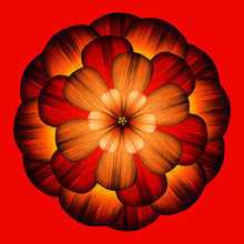 Decorative Red Flower