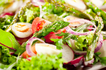 Poster - Frischer Salat mit verschidenen Zutaten