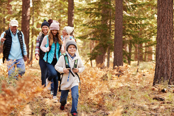 Multi generation family hiking in a forest, California, USA