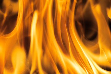 Abstract background of fire.
