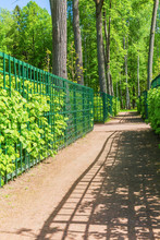 Pathway With Fence In Green Park