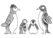 Penguins line art design for coloring book for adult, T shirt design, cards and so on