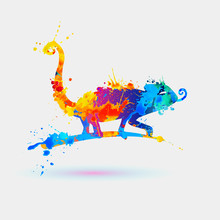 Chameleon. Splash Paint