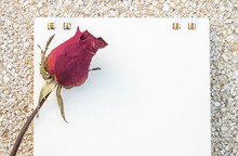 Closeup Dried Red Rose With White Note Paper On Stone Floor Texture Background