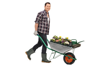 Wall Mural - Gardener pushing a wheelbarrow with flowers