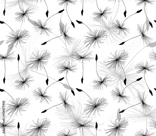 Fototapeta na wymiar seamless background from black and grey dandelion seeds