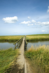 Canvas Print - Holzsteg an der Nordsee