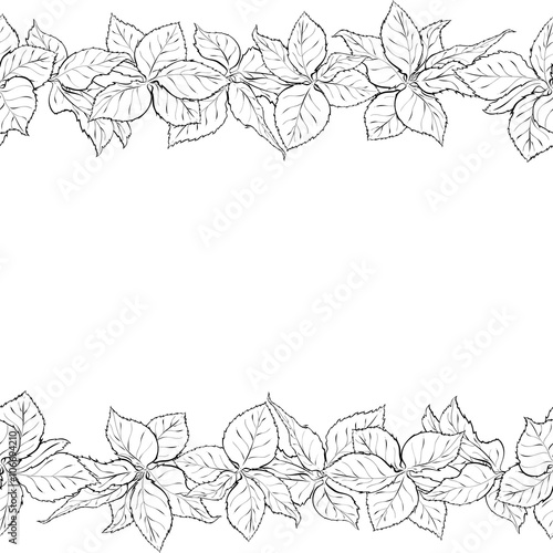 Hand Drawn Seamless Border With Foliage Of Rose Monochrome Leaf Sketch Of Leaves Isolated On White Background Black And White Pencil Or Ink Outline Buy This Stock Vector And Explore Similar,Small Space Minimalist House Interior Design Philippines