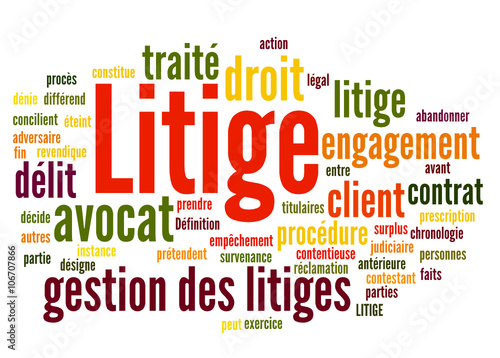 Plakat na zamówienie Litige (avocat, médiateur)