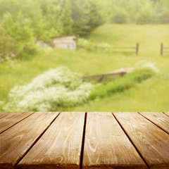 Poster - Wooden table on blurred nature background