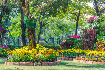 Flowers in the garden on summer. /Landscaped flower garden with lots of colorful blooms on summer.
