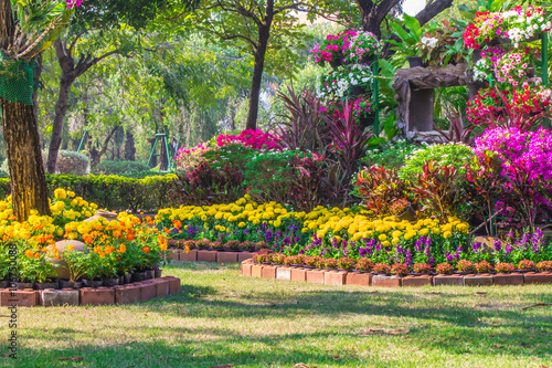 Flowers in the garden on summer. /Landscaped flower garden with lots of