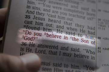 Wall Mural - Bible text Do you believe in the Son of God?