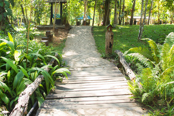 Wall Mural - Landscaping in the garden. The path in the garden.