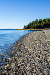 Sticker - Rocky Coast in Bar Harbor