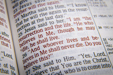 Bible Text - I AM THE RESURRECTION AND THE LIFE