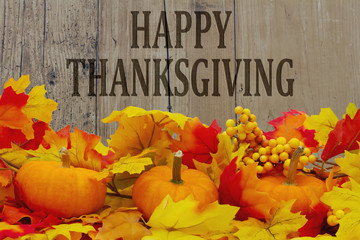 Wall Mural - Happy Thanksgiving Message
