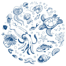 Sea Life Hand Drawn Set
