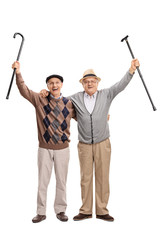 Poster - Two happy senior gentlemen posing together