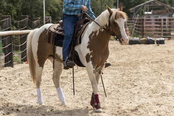 Wall Mural - équitation western