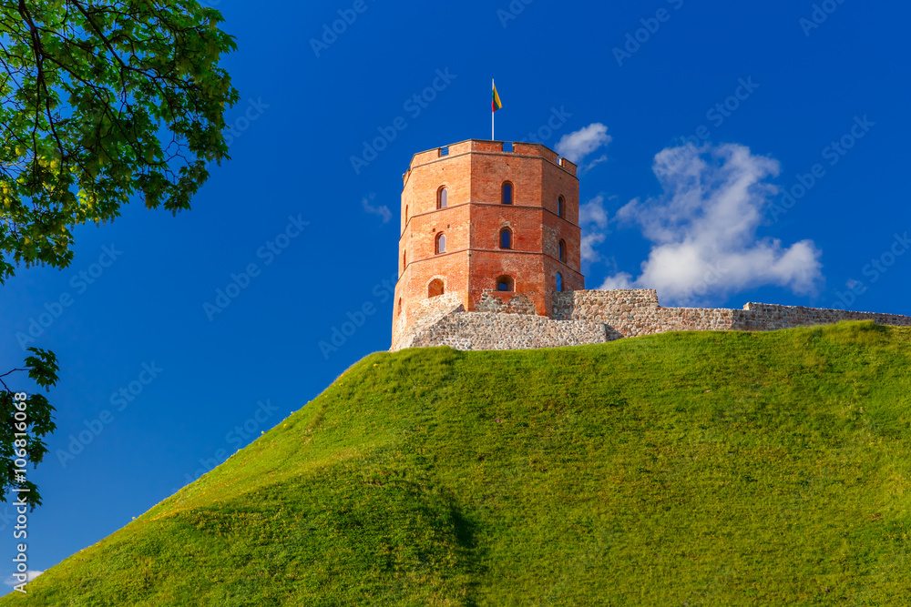 Obraz na płótnie Tower of Gediminas in the summer morning In Vilnius, Lithuania.  w salonie
