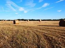 Round Bales Of Hay In A Field With Blue Sky And Clouds