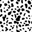 Seamless animal pattern for textile design. Seamless pattern of dalmatian spots. Natural textures.