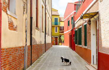 Italy. The island of Burano. 