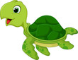 funny sea turtle cartoon
