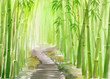 Single path alley through green bamboo forest original watercolor painting.