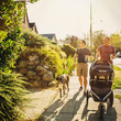 © Inti St Clair/Blend Images - Caucasian gay couple walking dog and pushing stroller on sidewalk