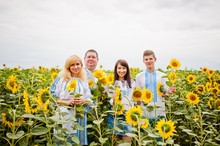 Happy Family Having Fun On Sunflowers