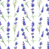 Fototapeta Lawenda - Seamless pattern with watercolor lavender