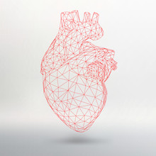 Creative Concept Background Of The Human Heart. Vector Illustration Eps 10 For Your Design.