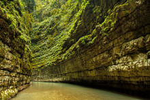 Canyon In The Jungle Of Abkhazia