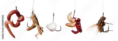 Fotografía set of fishing baits on the hook isolated on white background