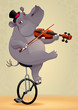 Funny hippo on an unicycle