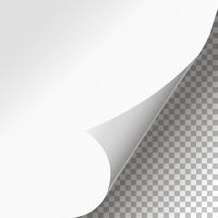 Wall Mural - Curled Page Corner isolated background stylish design