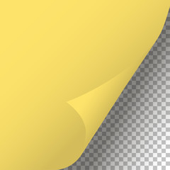 Wall Mural - Curled Page Corner isolated background stylish design