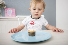 Baby Boy Looking At Cupcake