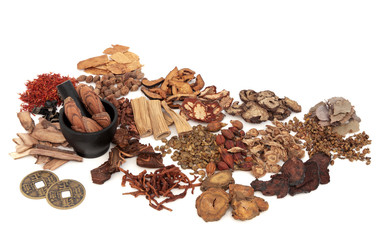 Poster - Chinese Herb Ingredients