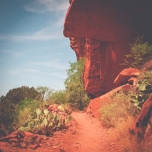 Path Through The Mountains In The Desert With Red Rocks And Cacti