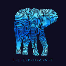 Elephant - Line Border And Blue Low Poly Design